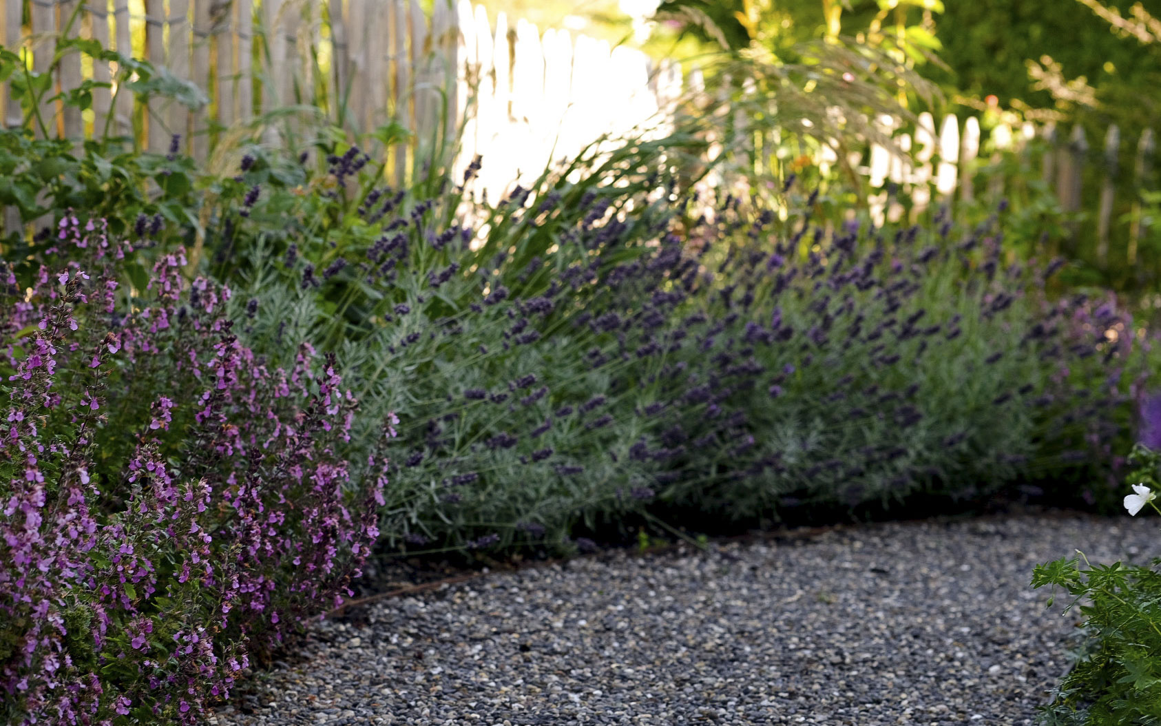 Meyer_Garten_Kiesweg