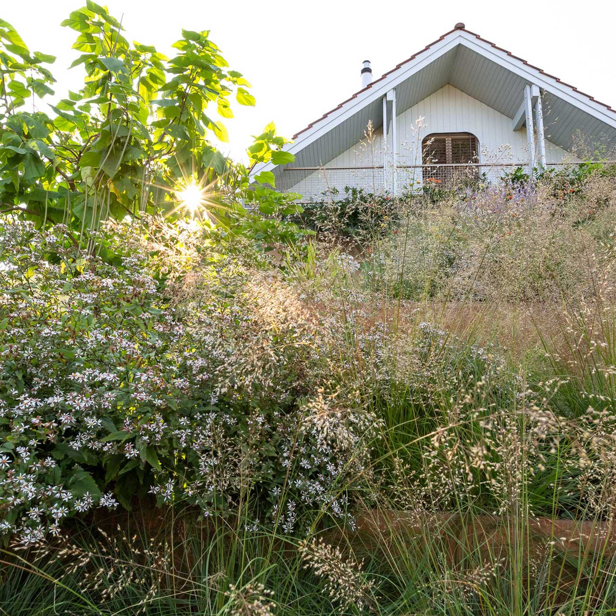 Hortus Casa Nostra - Gartendynamik in den schönsten Formen